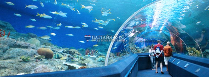 Океанариум «Underwater World Pattaya»