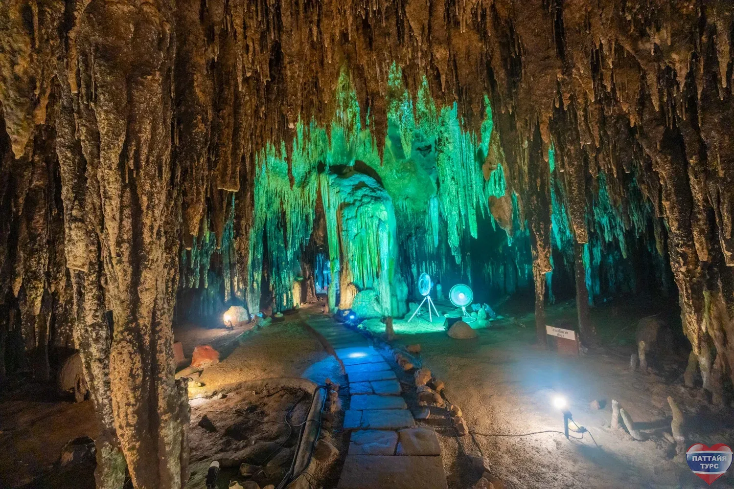 Альпака Парк –  уголок Южной Америки высоко в горах Таиланда Альпака Парк –  уголок Южной Америки высоко в горах Таиланда