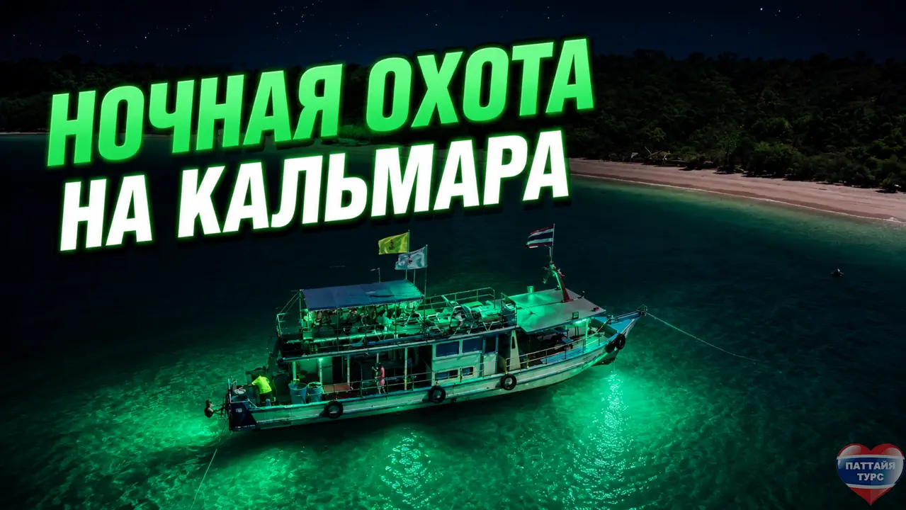 Ночная ловля кальмаров