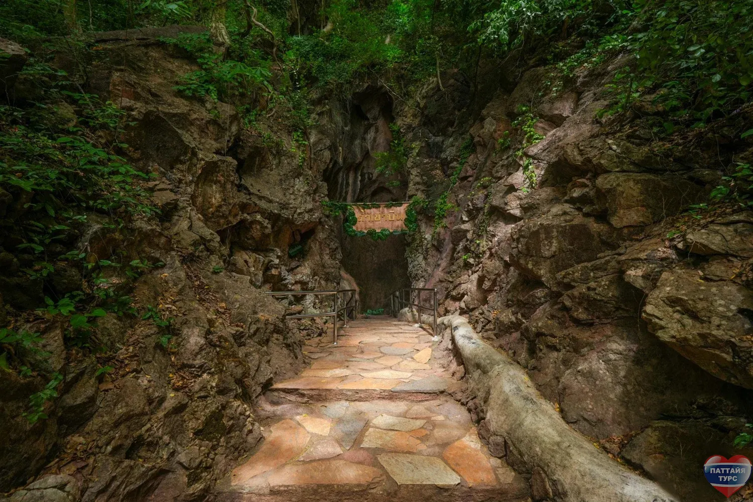 Попугаи в Альпака Парк Попугаи в Альпака Парк