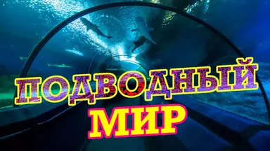 Океанариум Подводный Мир