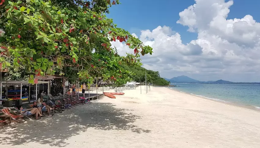 Пляж с белоснежным песком, шезлонгами под зелеными деревьями и спокойн
