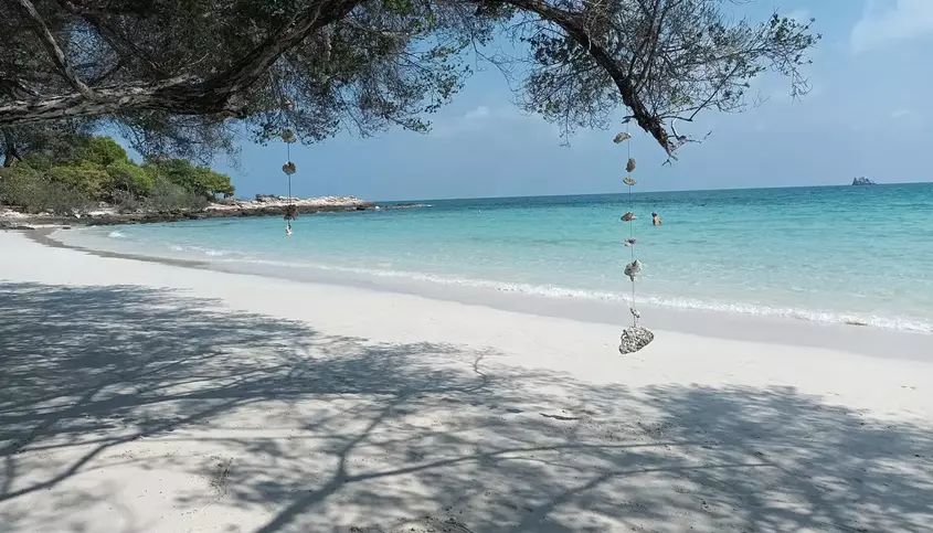 Пляж с белым песком и голубой водой. На дереве висит ловец снов