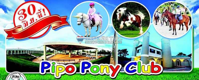 Pipo Pony Club