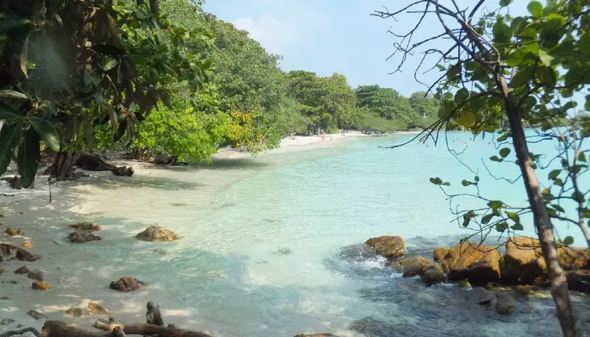 Пляж на острове Самет с чистой водой и тропической растительностью