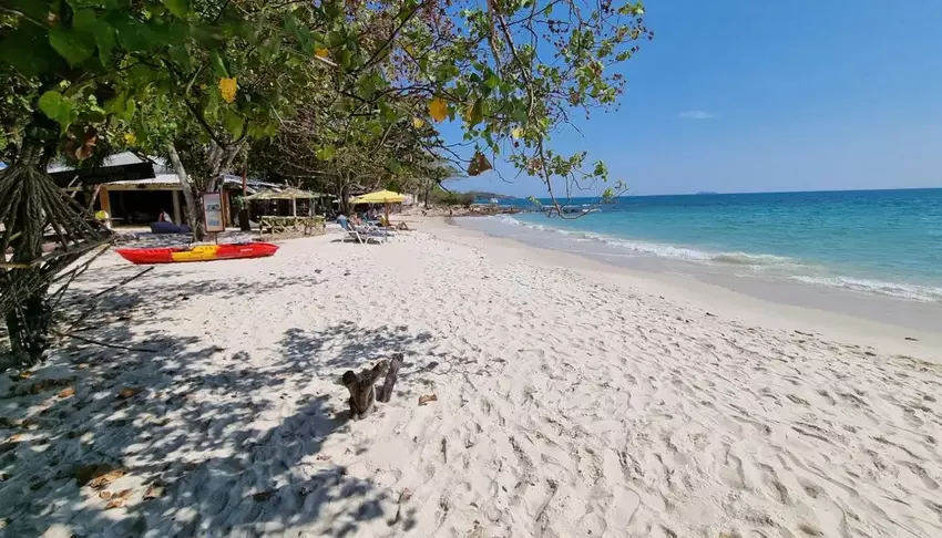 Солнечный пляж с мягким белым песком под тропическими деревьями