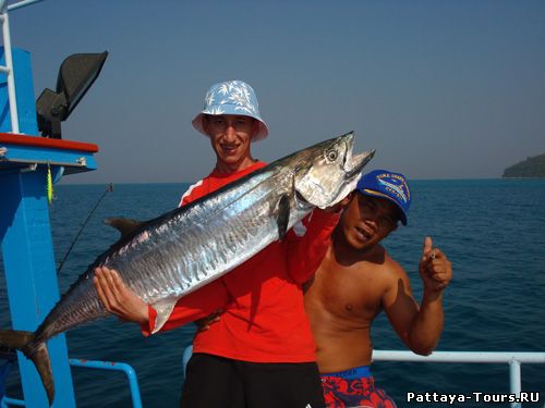 Большая Рыбалка - Big Fishing - Рыбалка на хищника