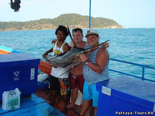 Большая Рыбалка - Big Fishing - Рыбалка на хищника
